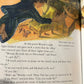 (Members Only) Peter Pan (Young FL Classics) by J.M. Barrie