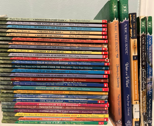 Magic Tree House books (bundle of 32 books)