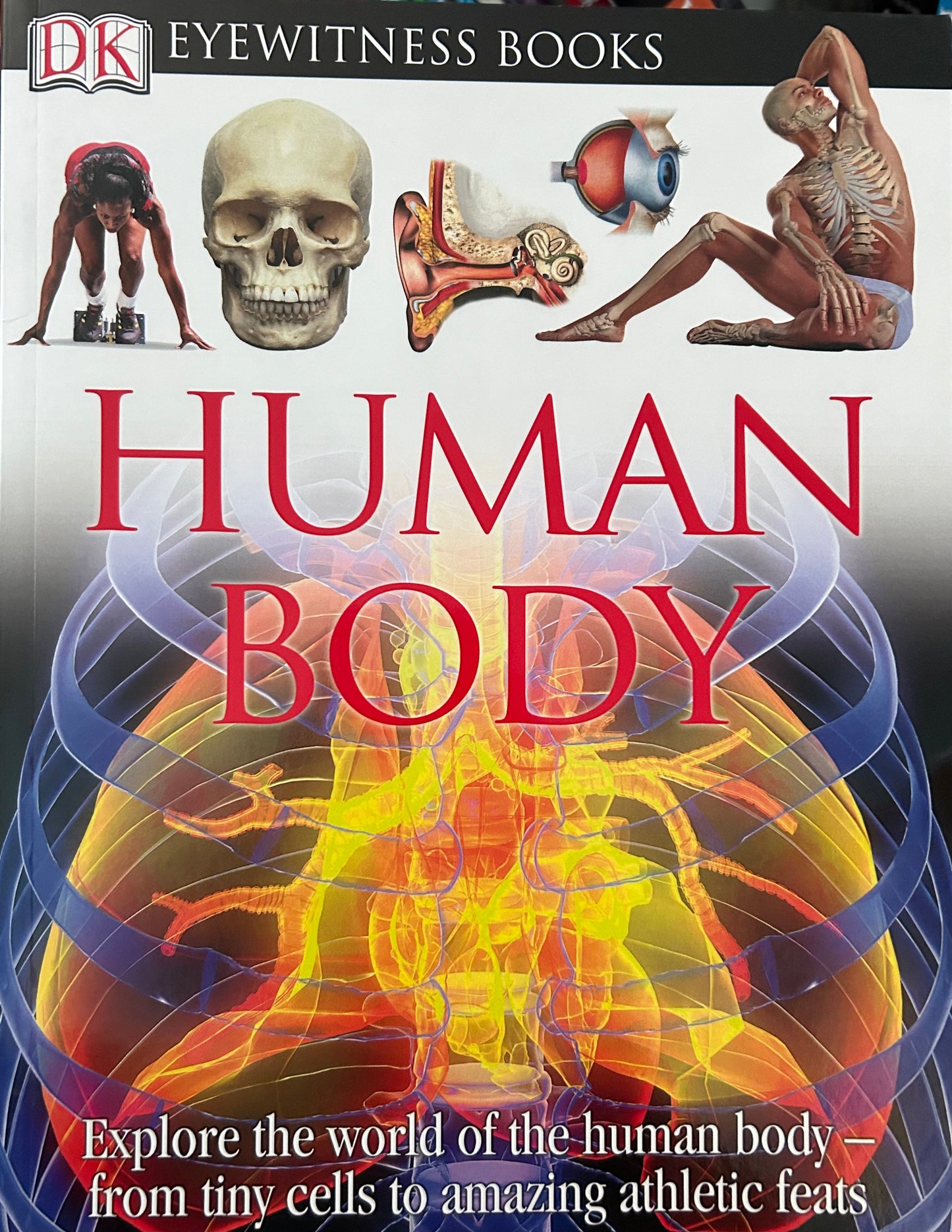 Eyewitness Books: Human Body( Softcover)