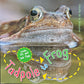Tadpole to Frog (Board Book)