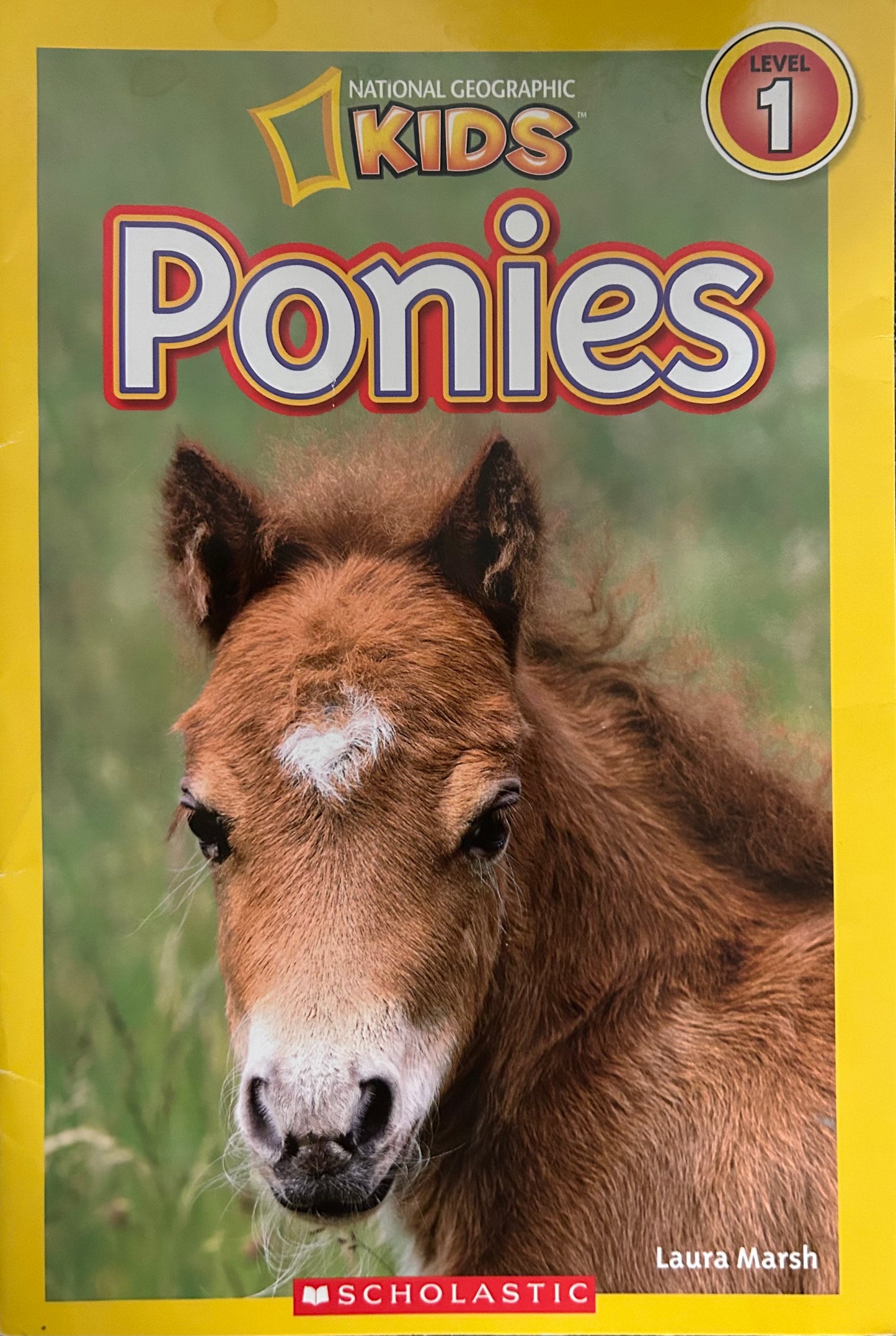 Ponies (National Geographic Kids) - Level 1 Reader