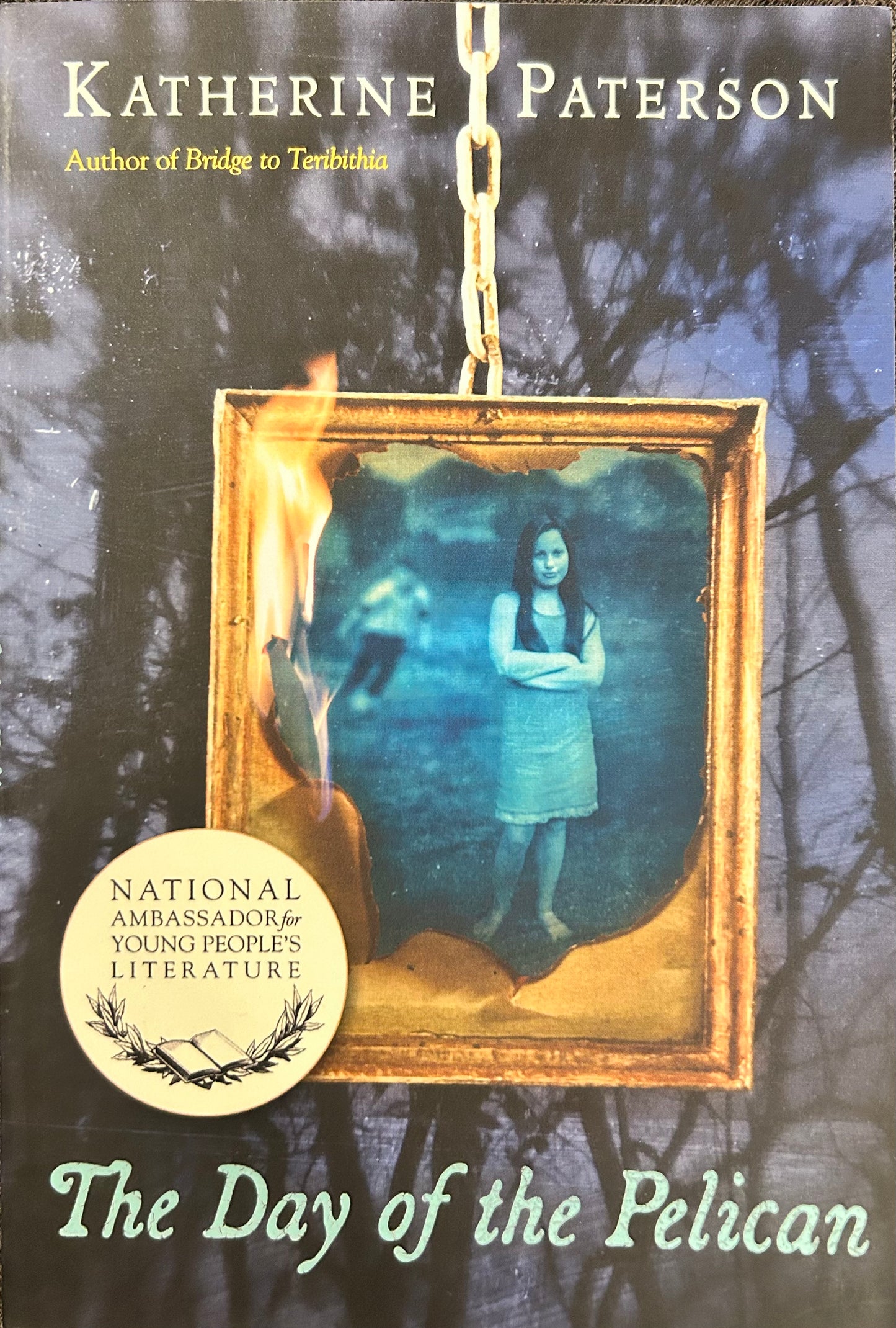 The Day of the Pelican by Katherine Paterson