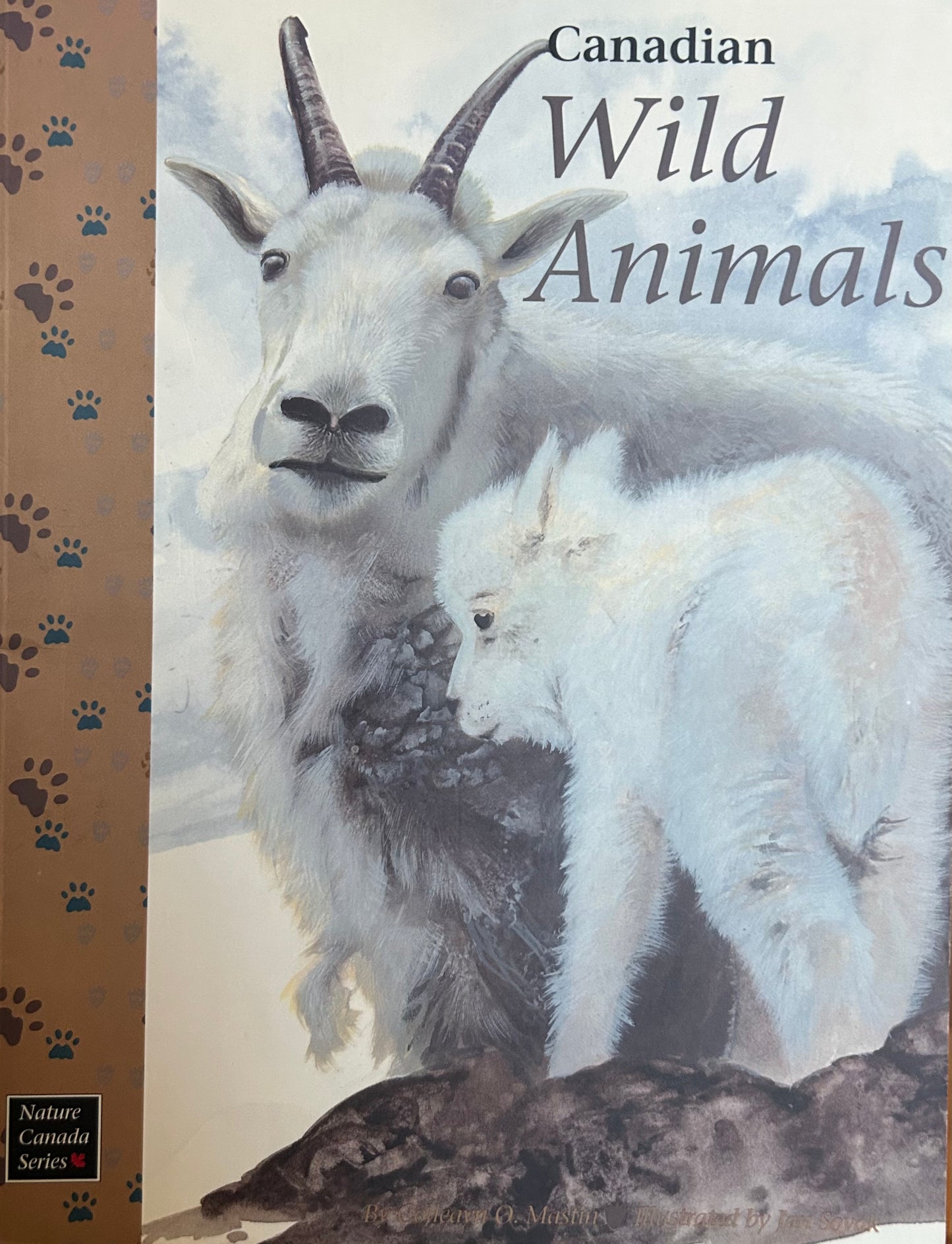 Canadian Wild Animals