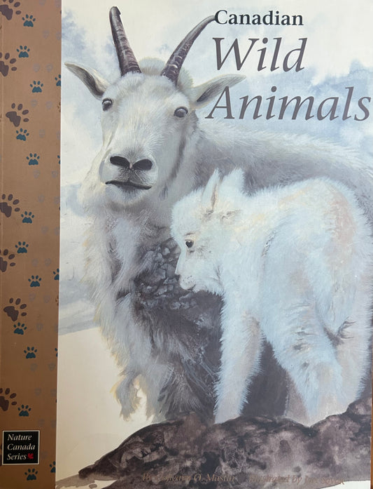 Canadian Wild Animals