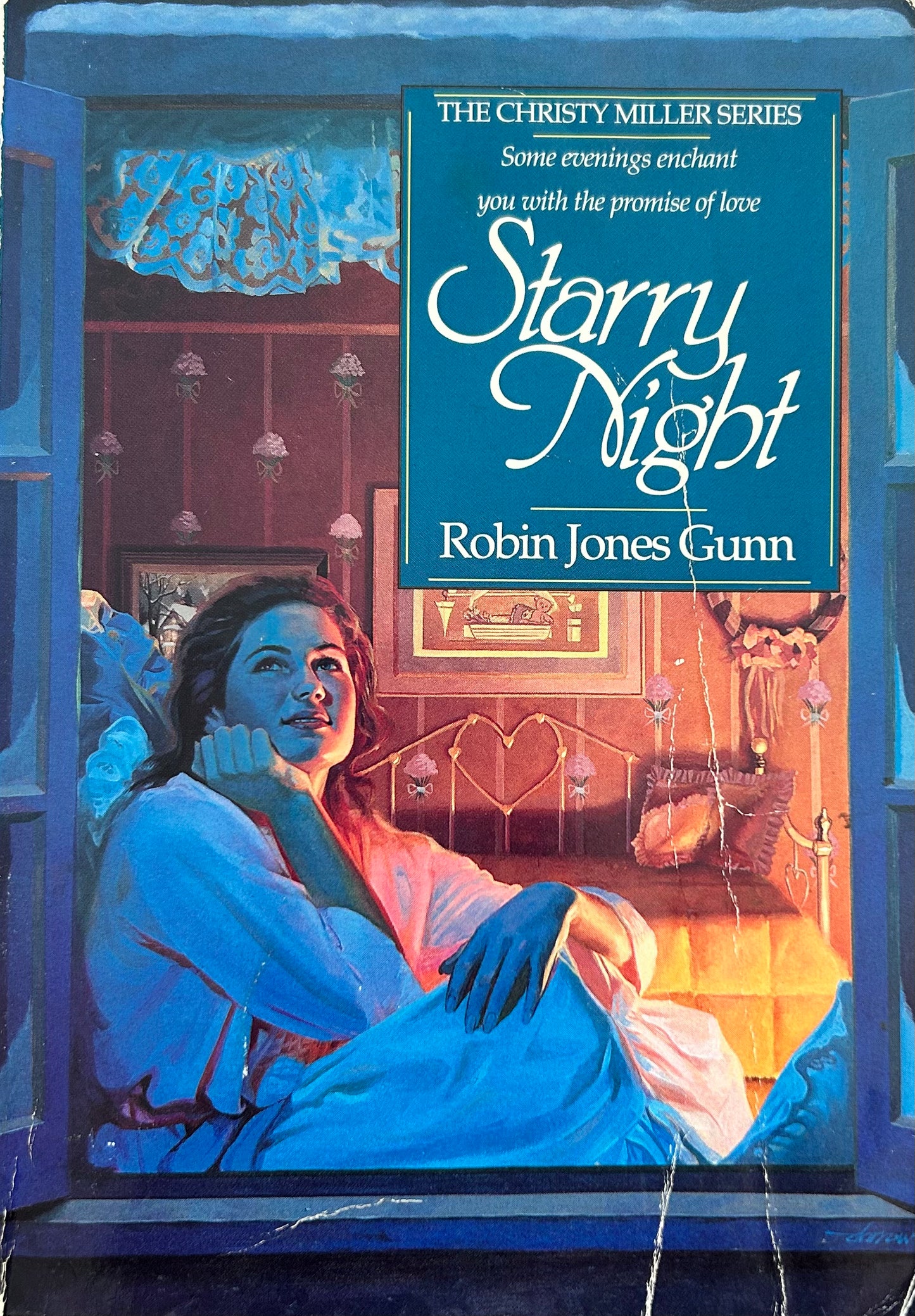 The Christy Miller Series books by Robin Jones Gunn