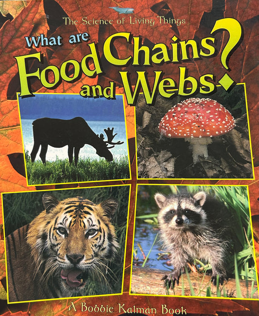 What are food chains and Webs ?