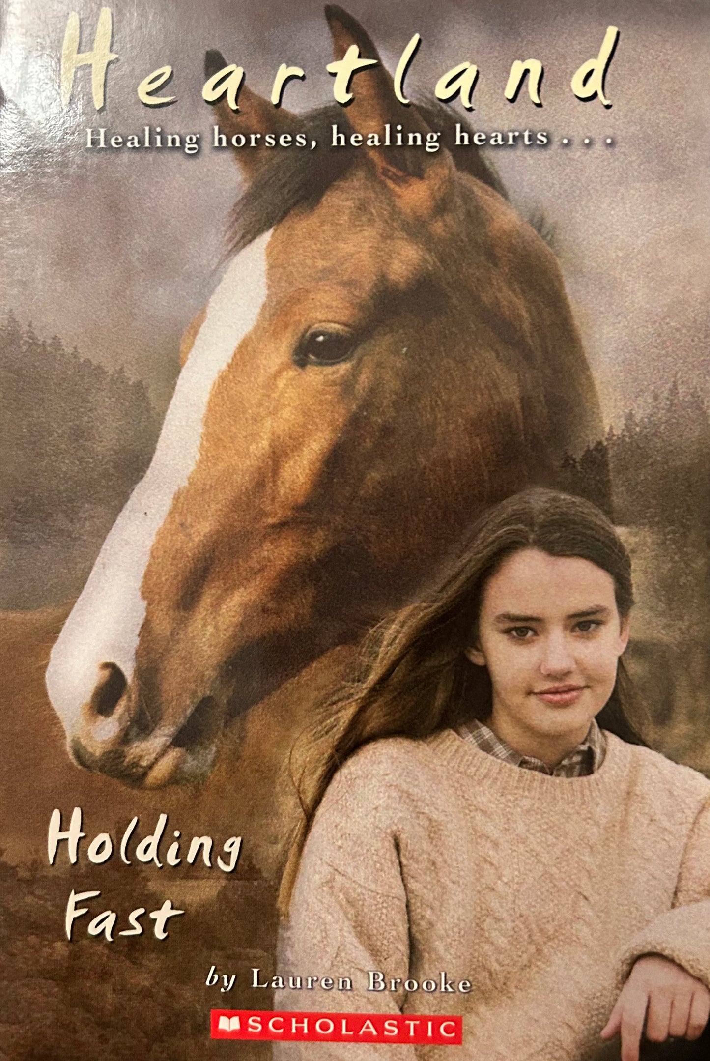 Heartland Series (Books 16 to 20) by Lauren Brooke