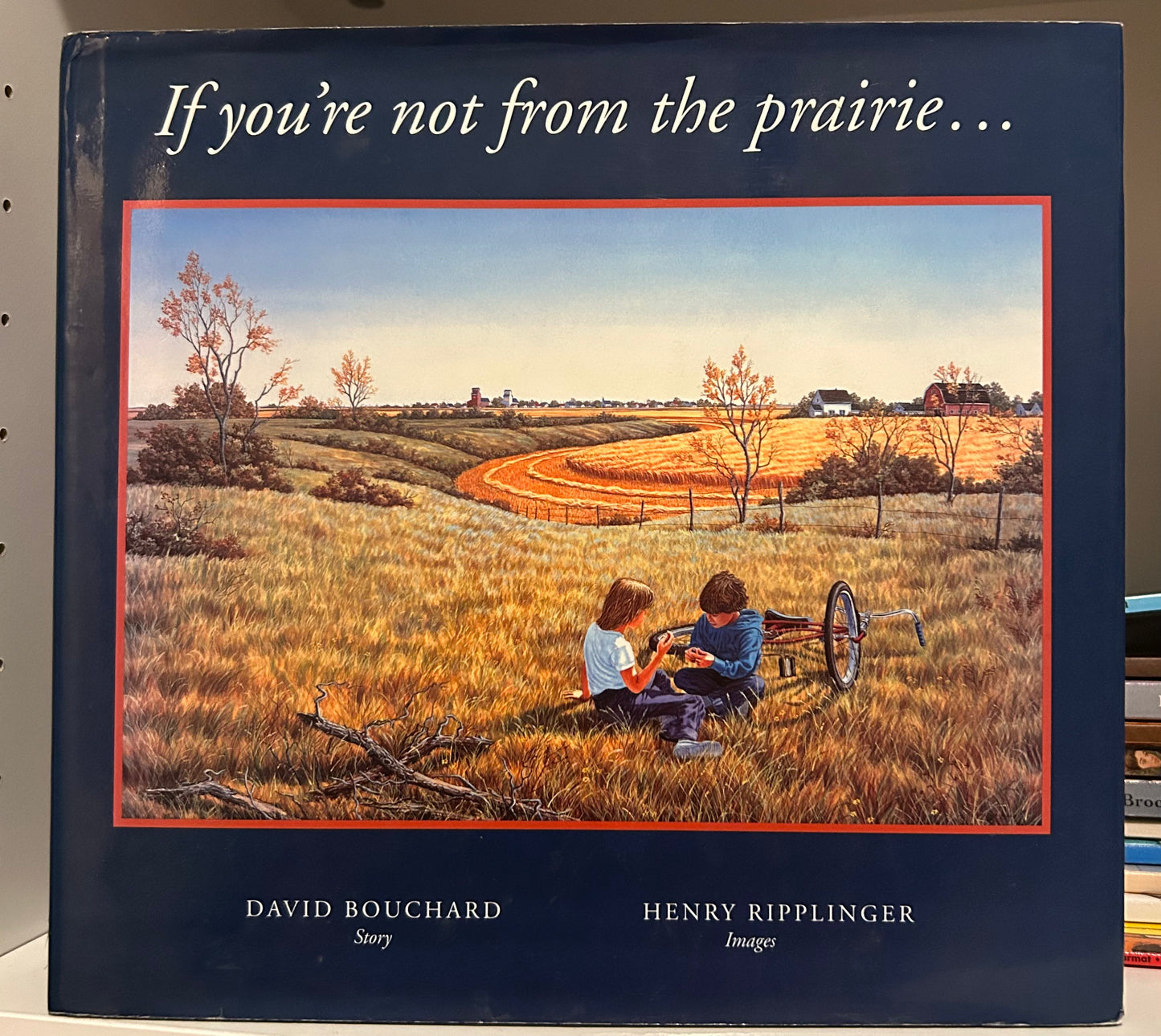 If you're not from the prairie by David Bouchard