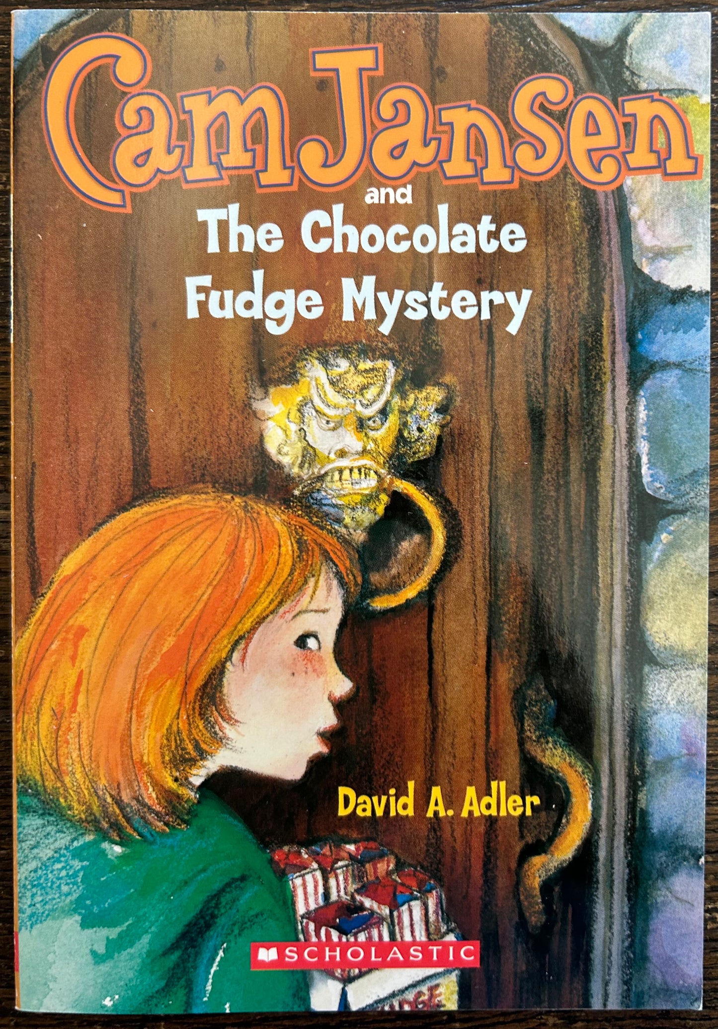 Cam Jansen books by David A. Adler