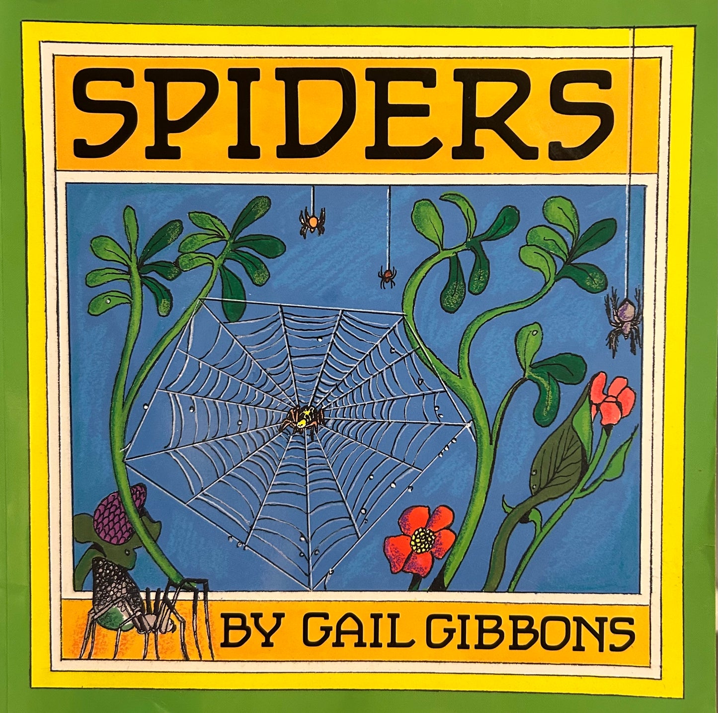 Spiders by Gail Gibbons