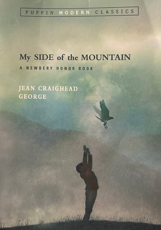 My side of the mountain by Jean Craighead George
