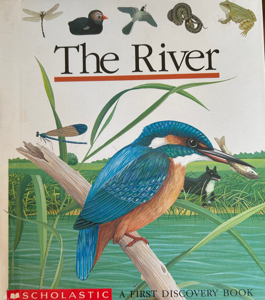 The River (A First Discovery Book)