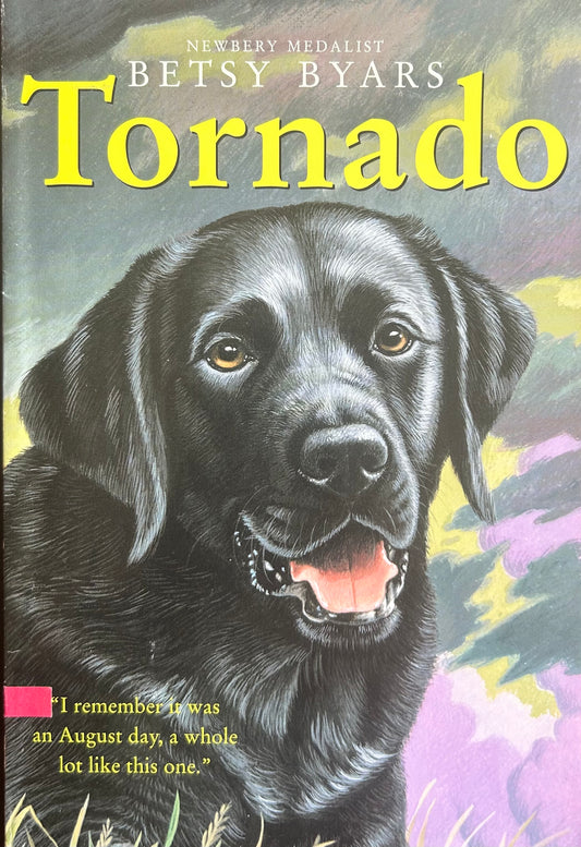 Tornado by Betsy Byars