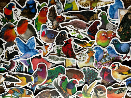 Stickers - Birds