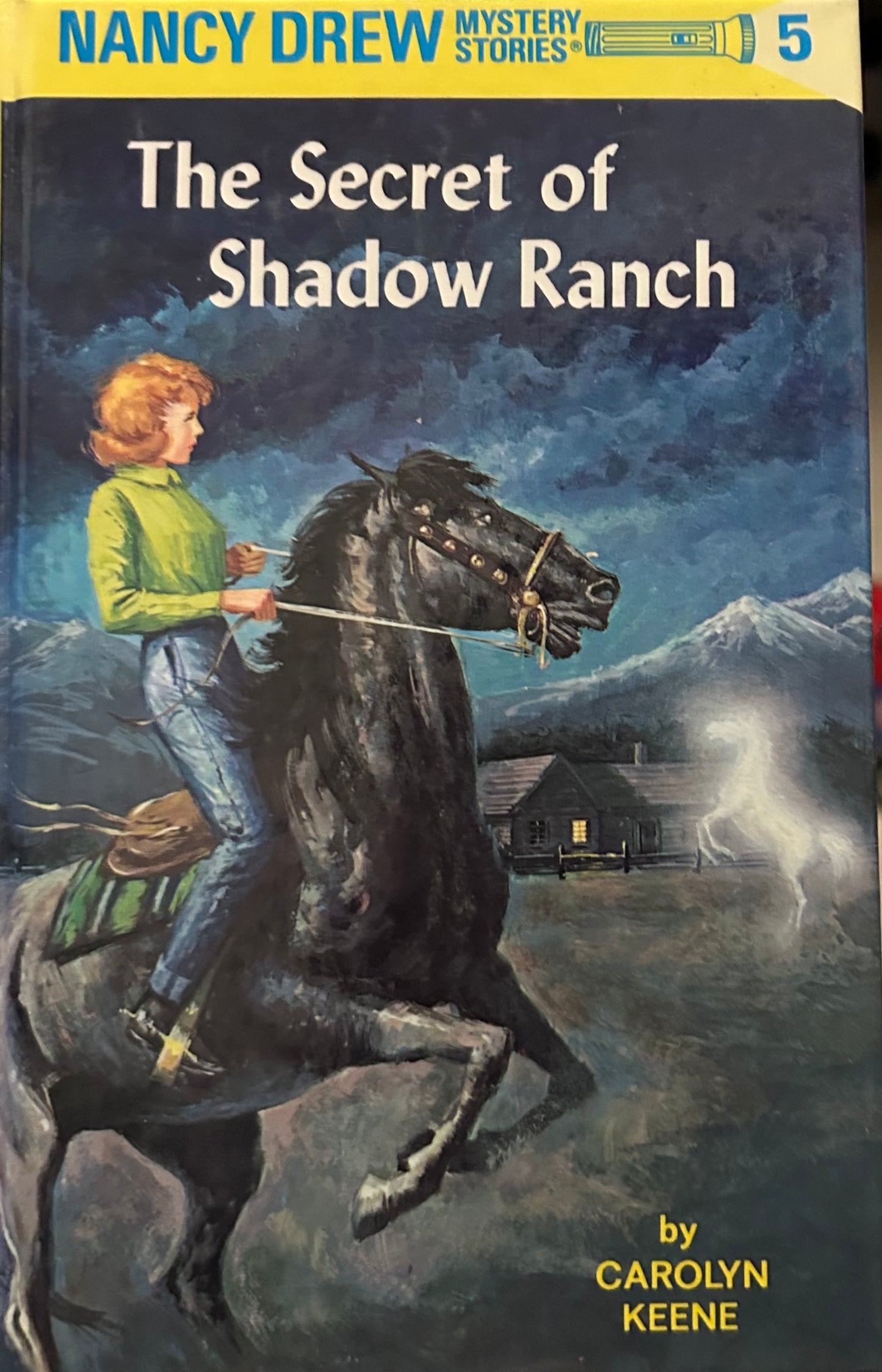 Nancy Drew Mystery Stories ( Books 1 to 10 Hardcover)