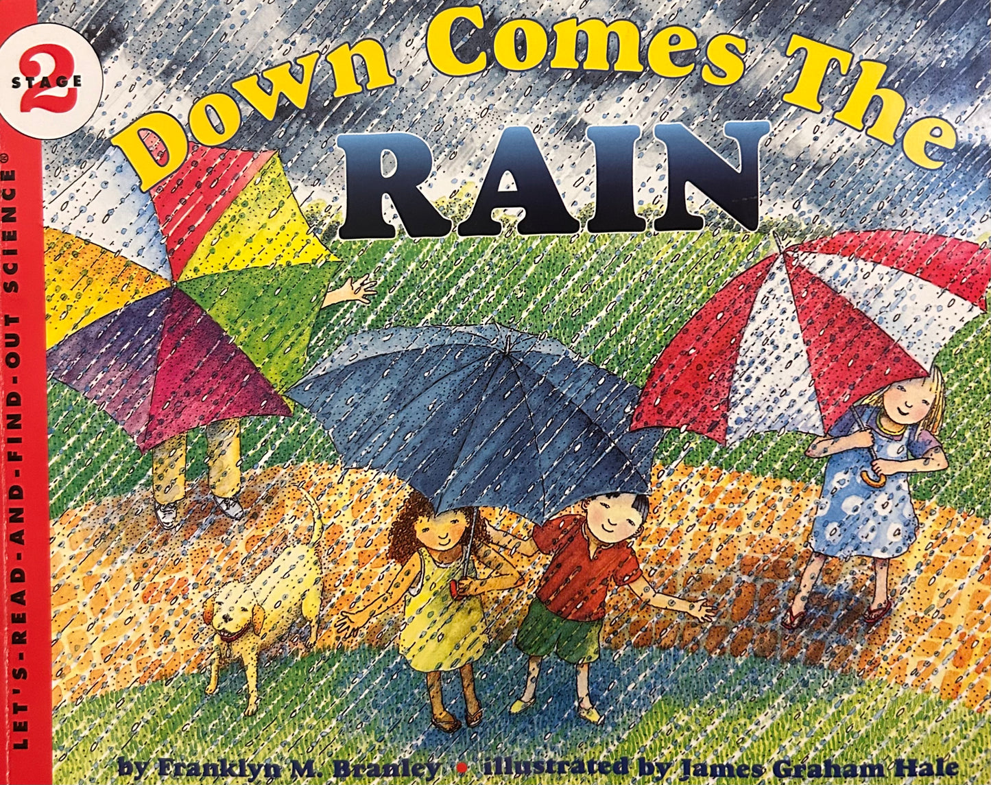 Down comes the Rain