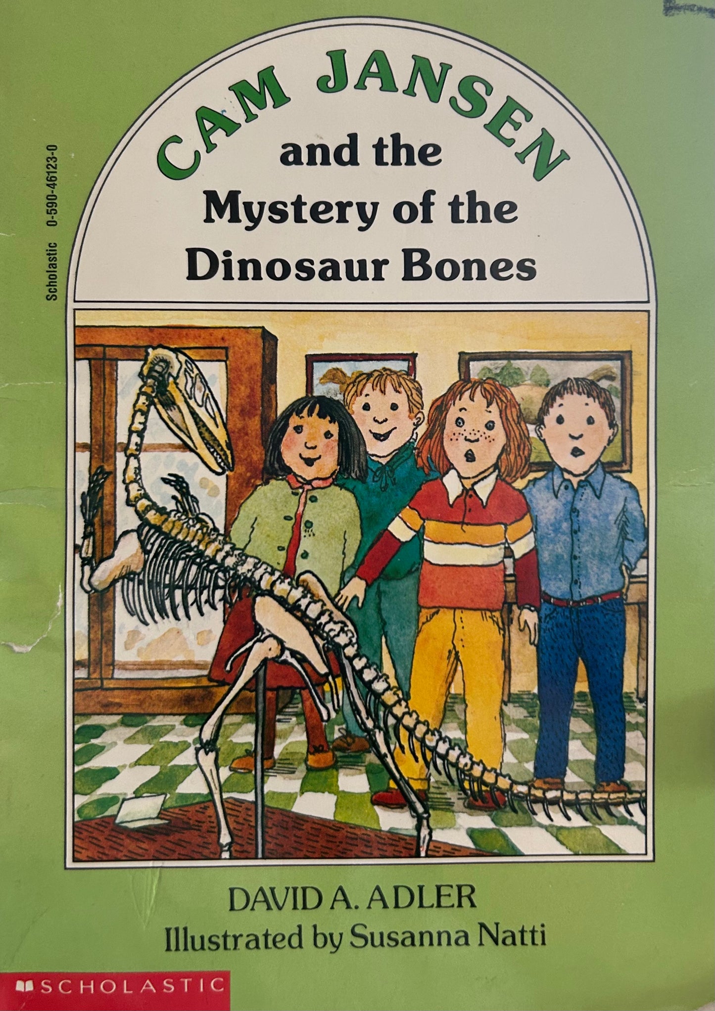 Cam Jansen Series Books David A.Adler