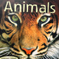 Usborne World of Animals