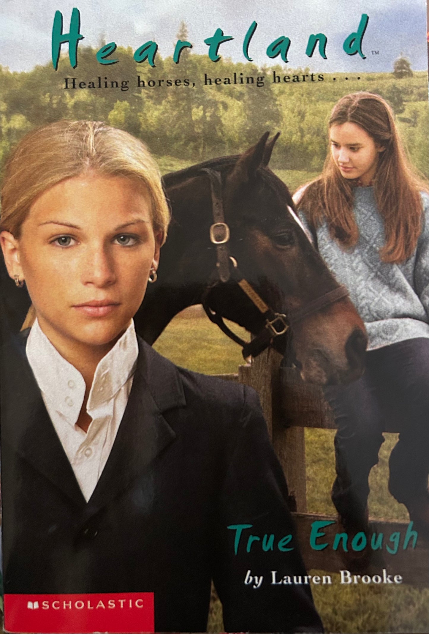 Heartland Series Books by Lauren Brooke (10 books)