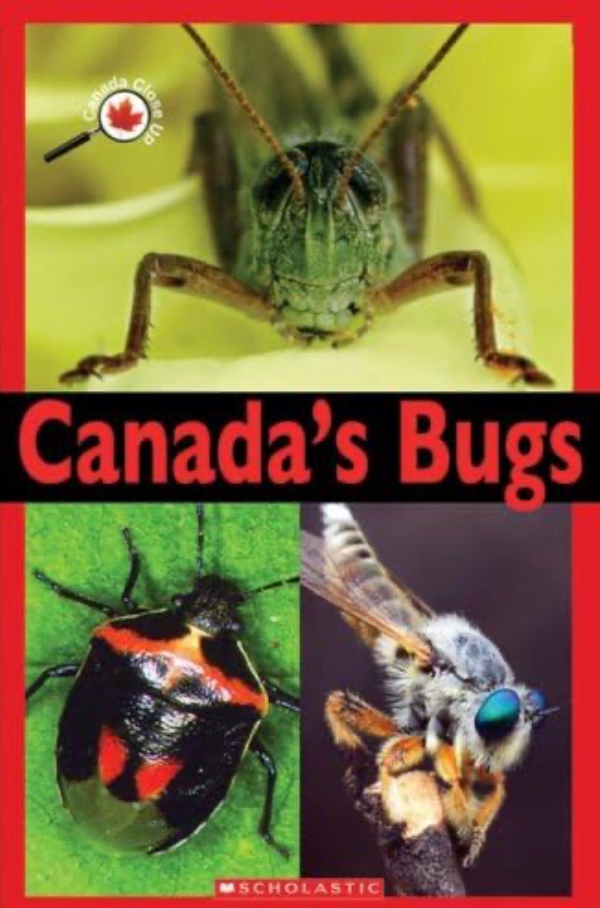 Canada Close Up: Canada's Bugs