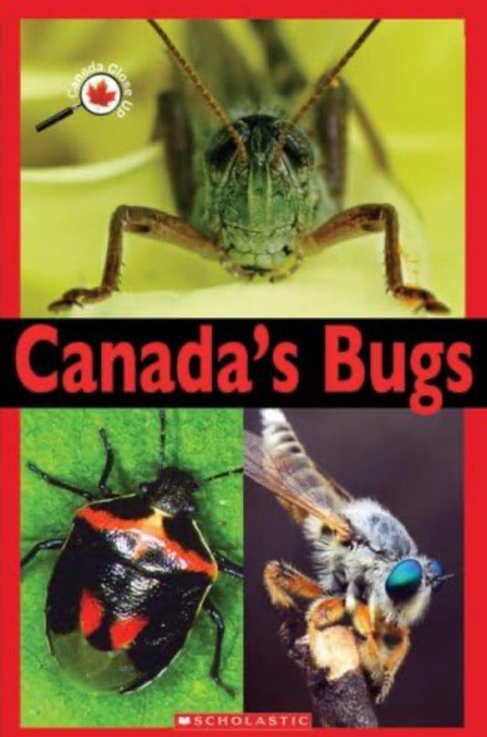 Canada Close Up: Canada's Bugs