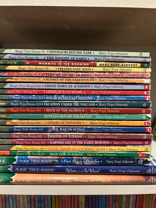 Magic Tree House books by Mary Pope Osborne (21 books)