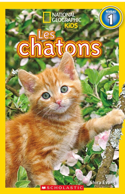 National Geographic Kids : Les chatons (niveau 1)