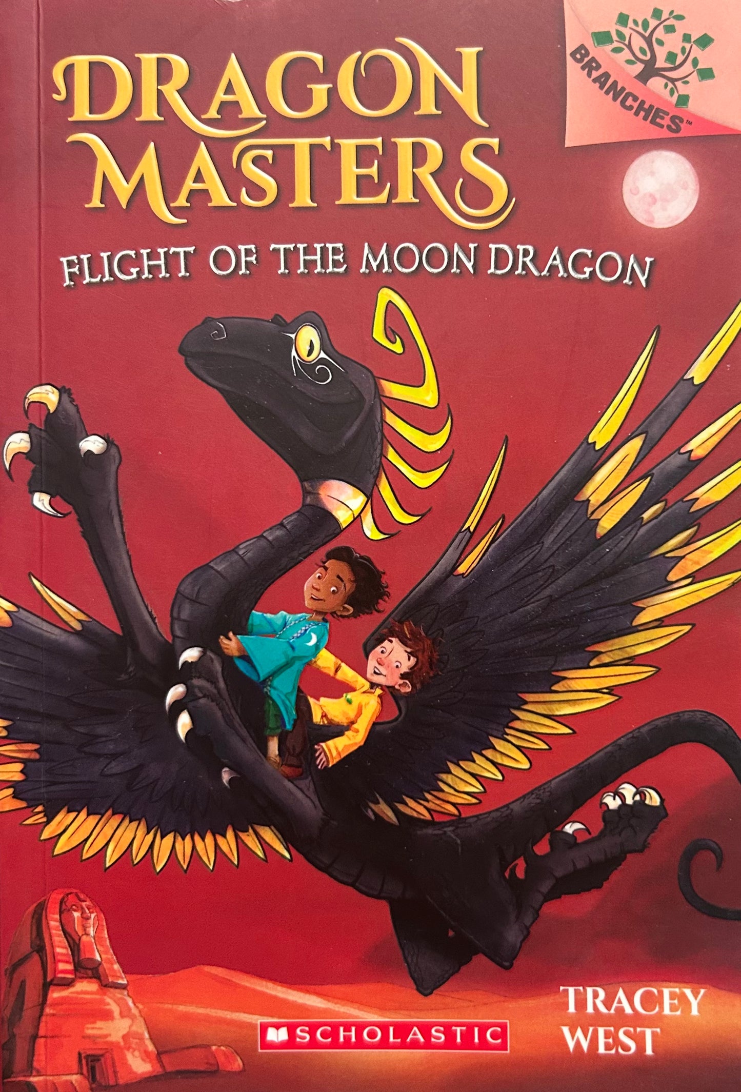 Dragon Masters Books by Tracey West (set of 3 books)