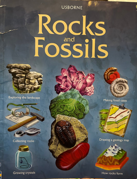 Usborne Rocks and Fossils