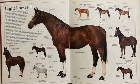 Eyewitness Visual Dictionaries: The Visual Dictionary of the Horse