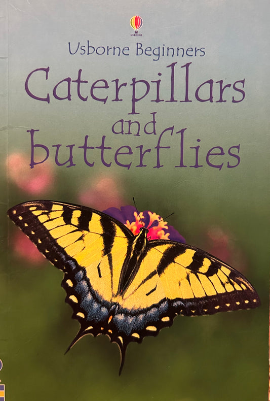 Caterpillars and Butterflies