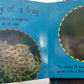 Tadpole to Frog (Board Book)