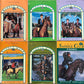 The Saddle Club series books by Bonnie Bryant