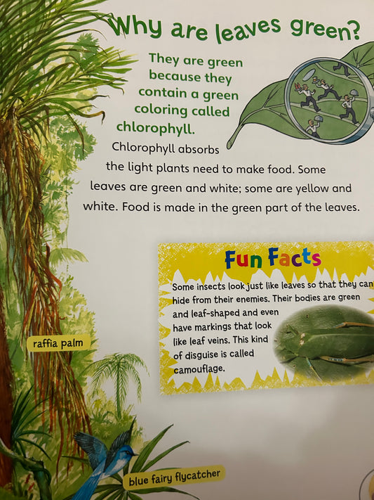 Ask me about Plants - Do Plants eat meat?