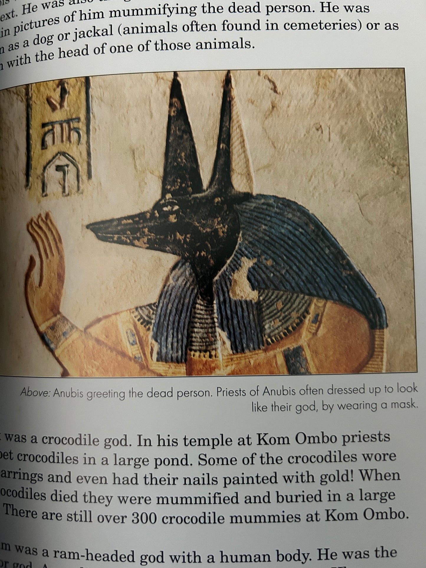 In Ancient Egypt Gods and Temples