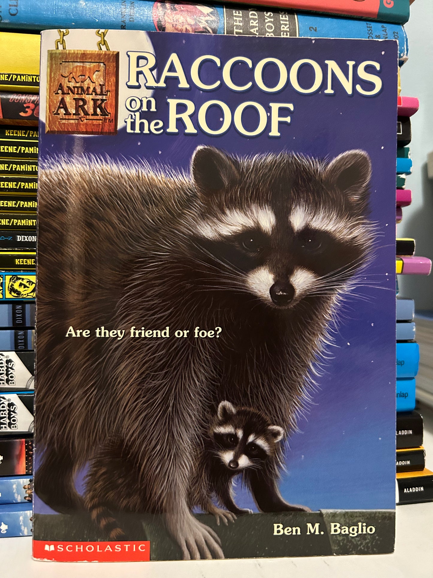 Animal Ark #21 Racoons on the Roof by Ben M. Baglio