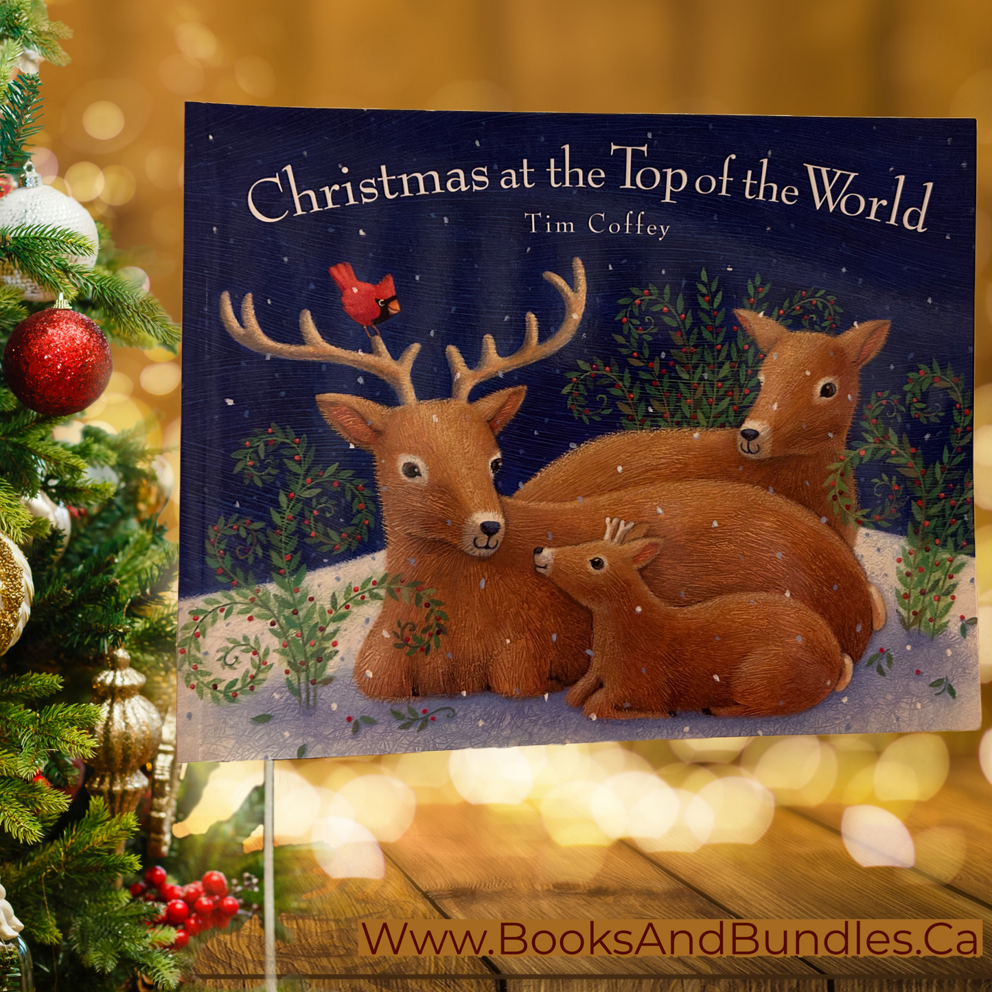 Christmas at the Top of the World