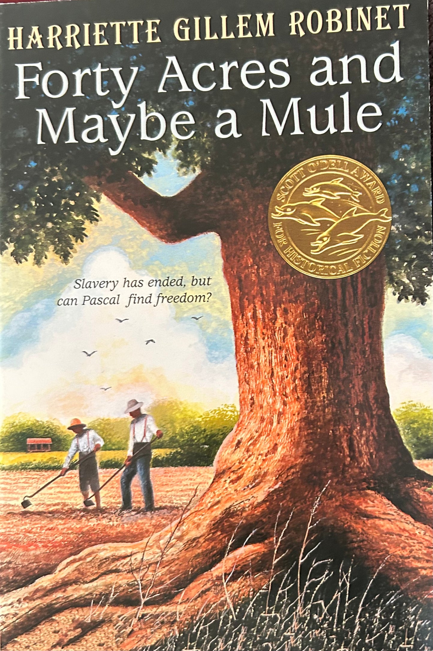 Forty acres and Maybe a Mule by Harriette Gillem Robinet