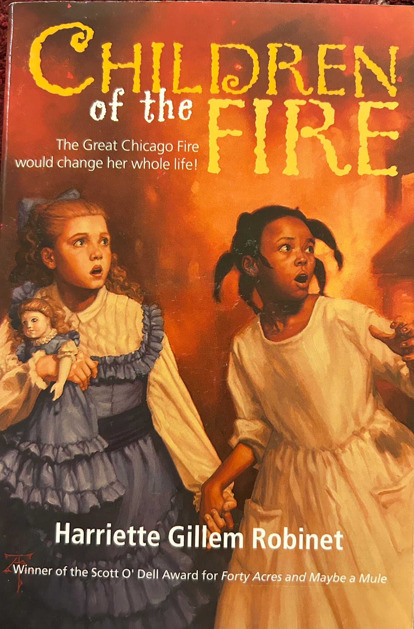 Children of the Fire by Harriette Gillem Robinet