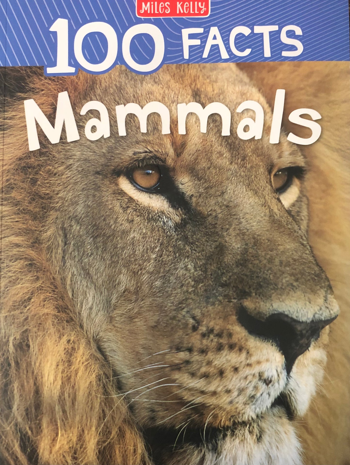 Miles Kelly 100 Facts Mammals