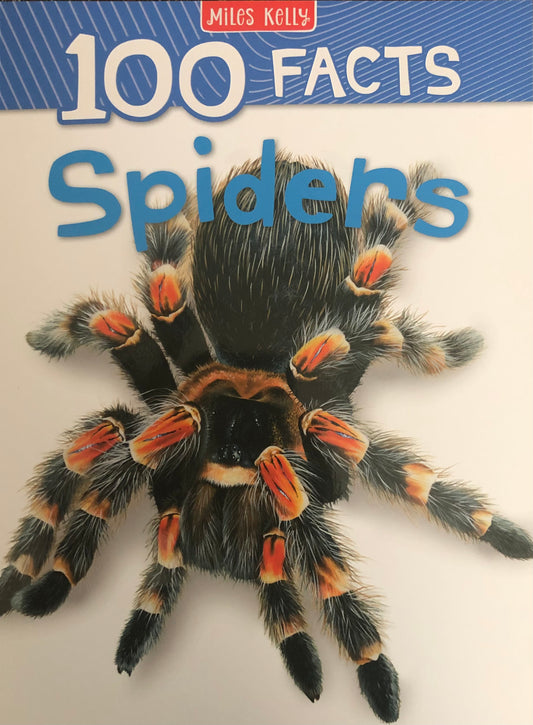 Miles Kelly 100 Facts Spiders