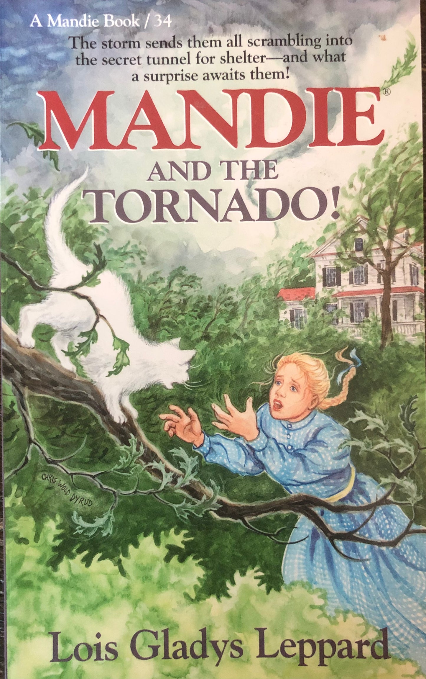 Book #34 Mandie and the Tornado! by Lois Gladys Leppard