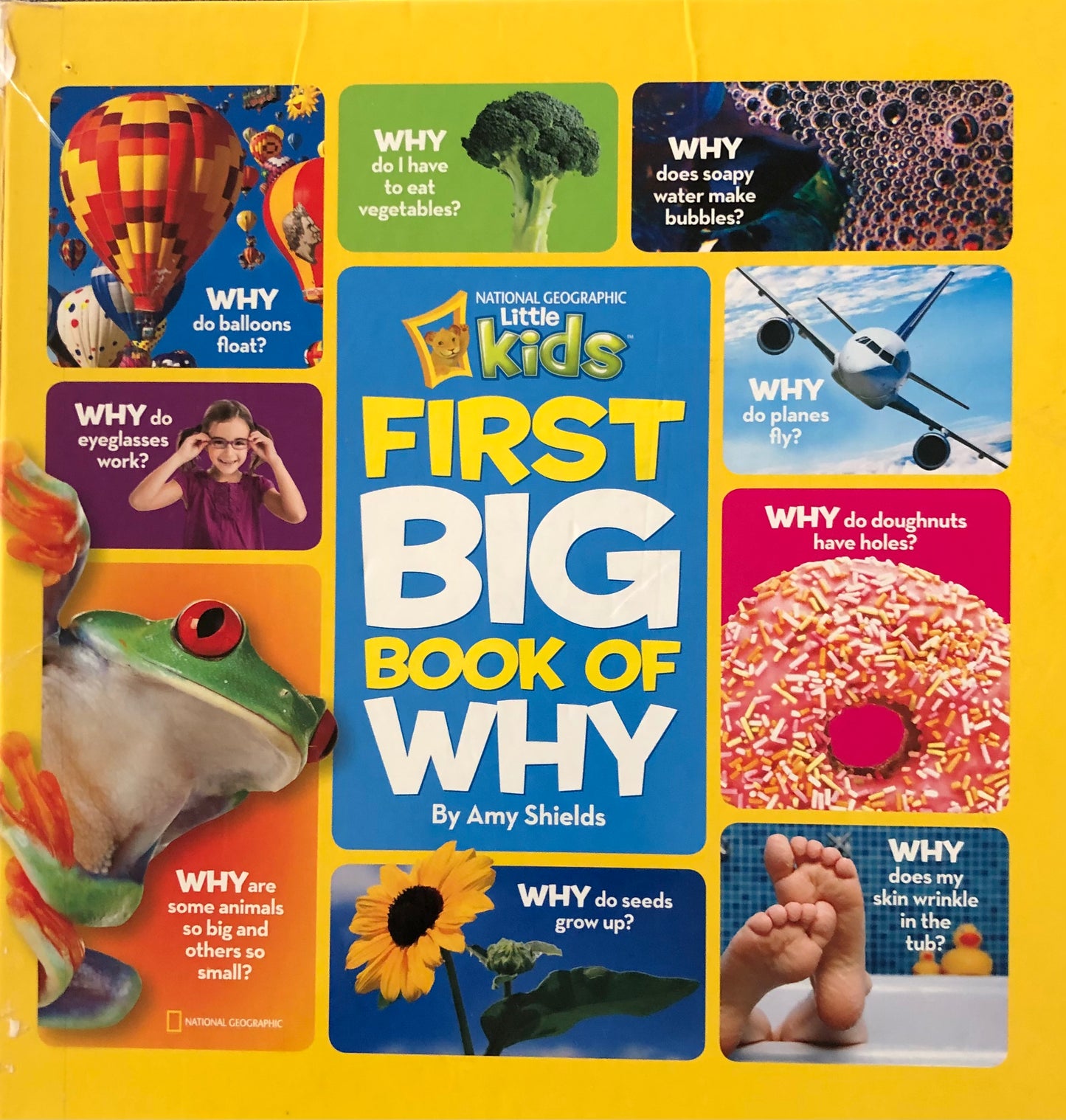 National Geographic Kids Little kids First Big Book of Why