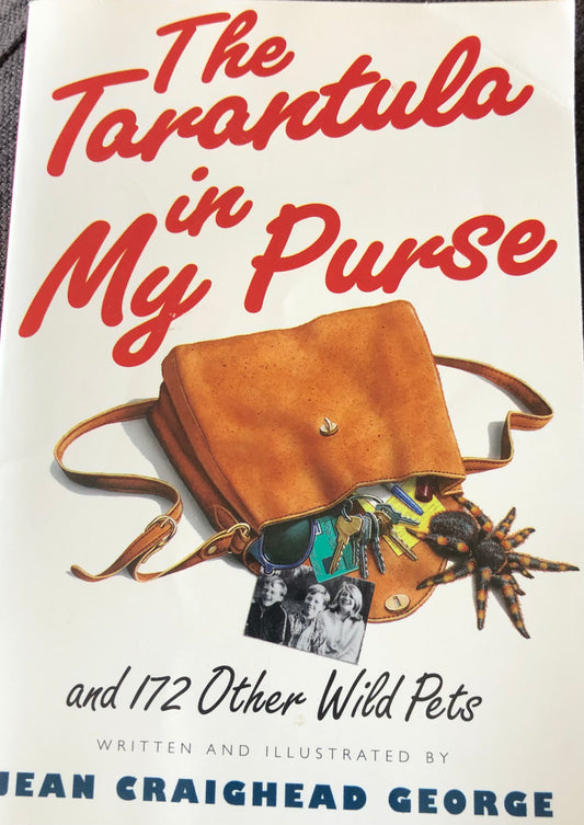 Tarantula in My Purse