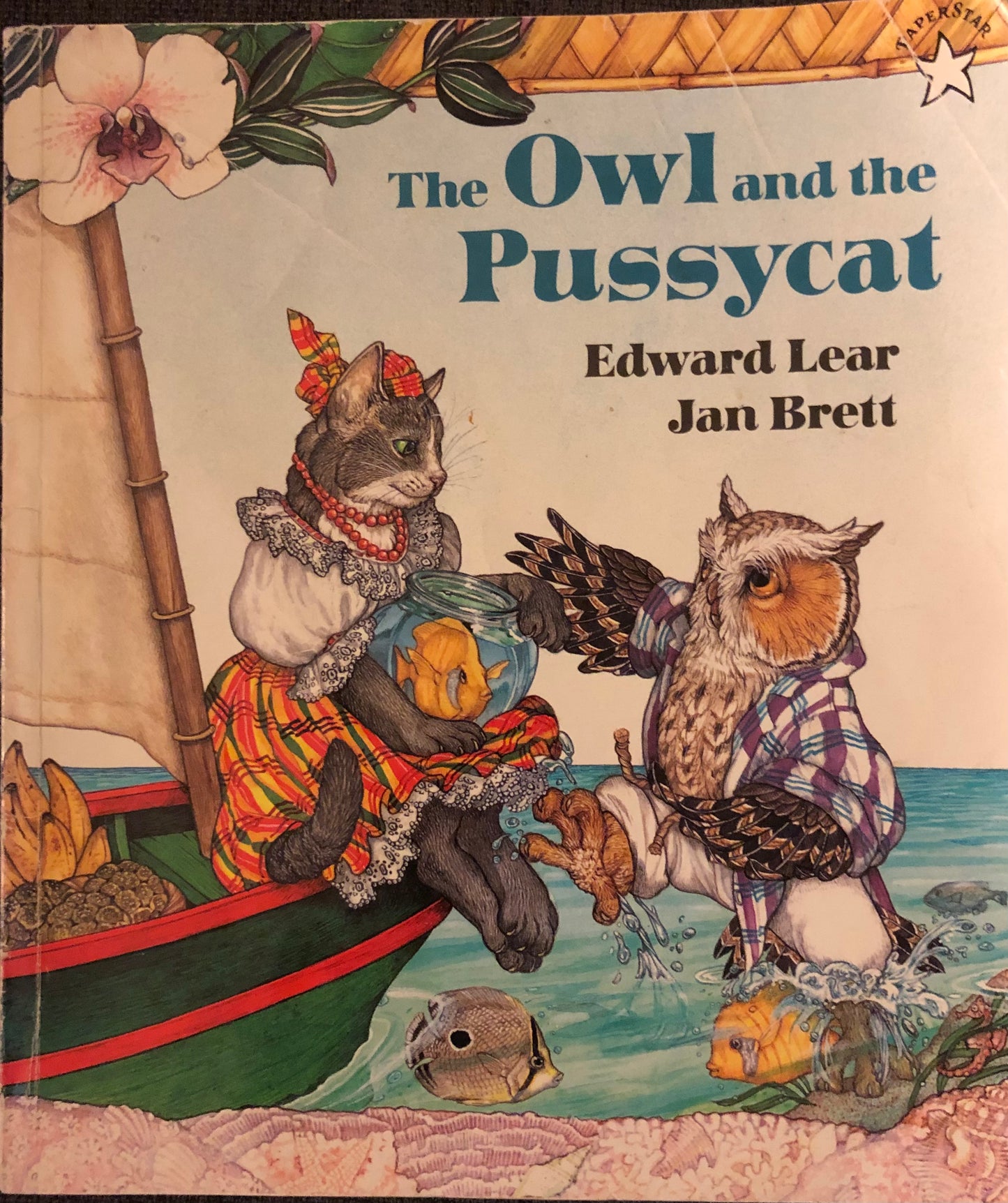 Jan Brett: The owl and the pussycat
