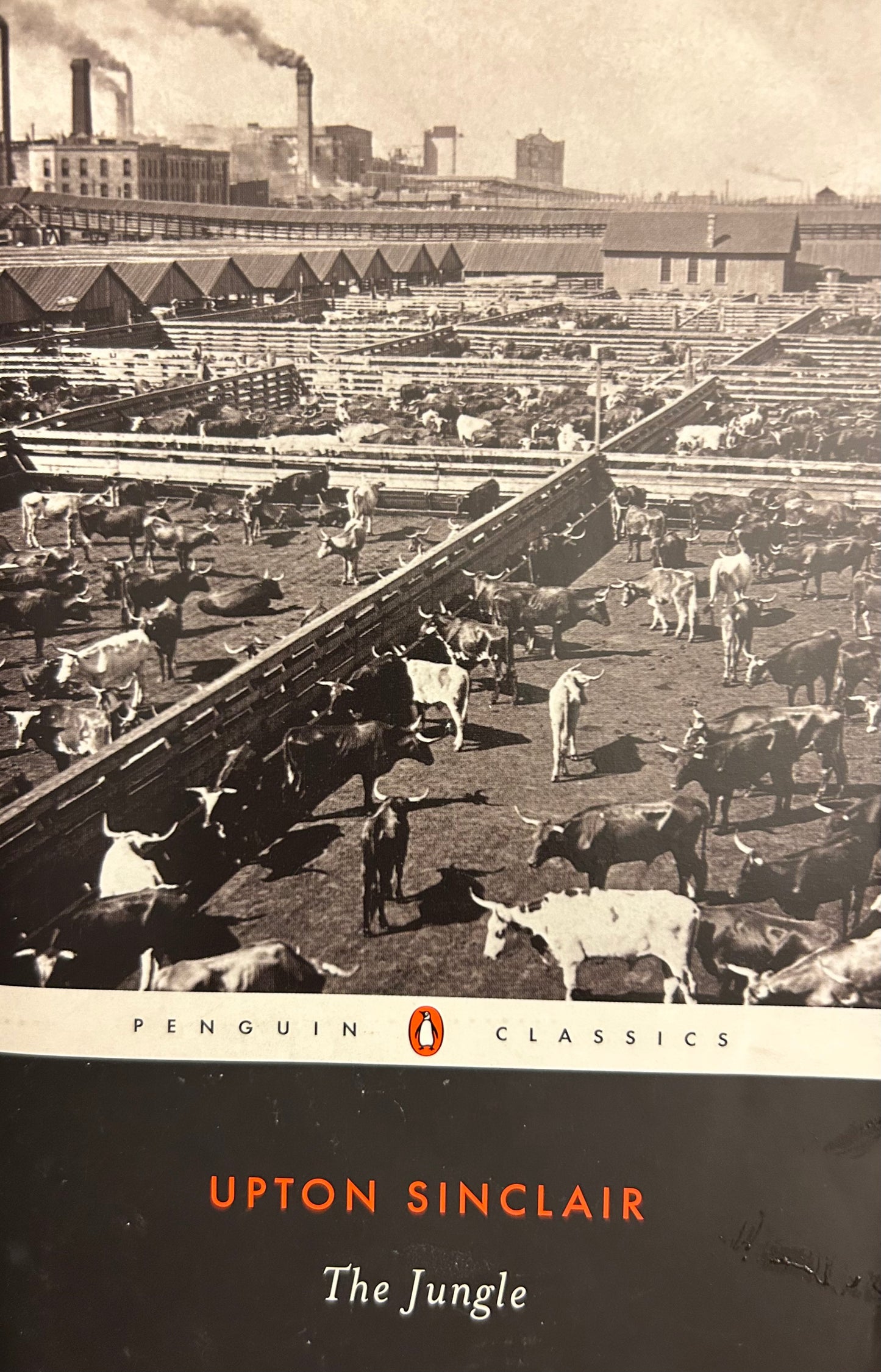 Penguin Classics: The Jungle by Upton Sinclair