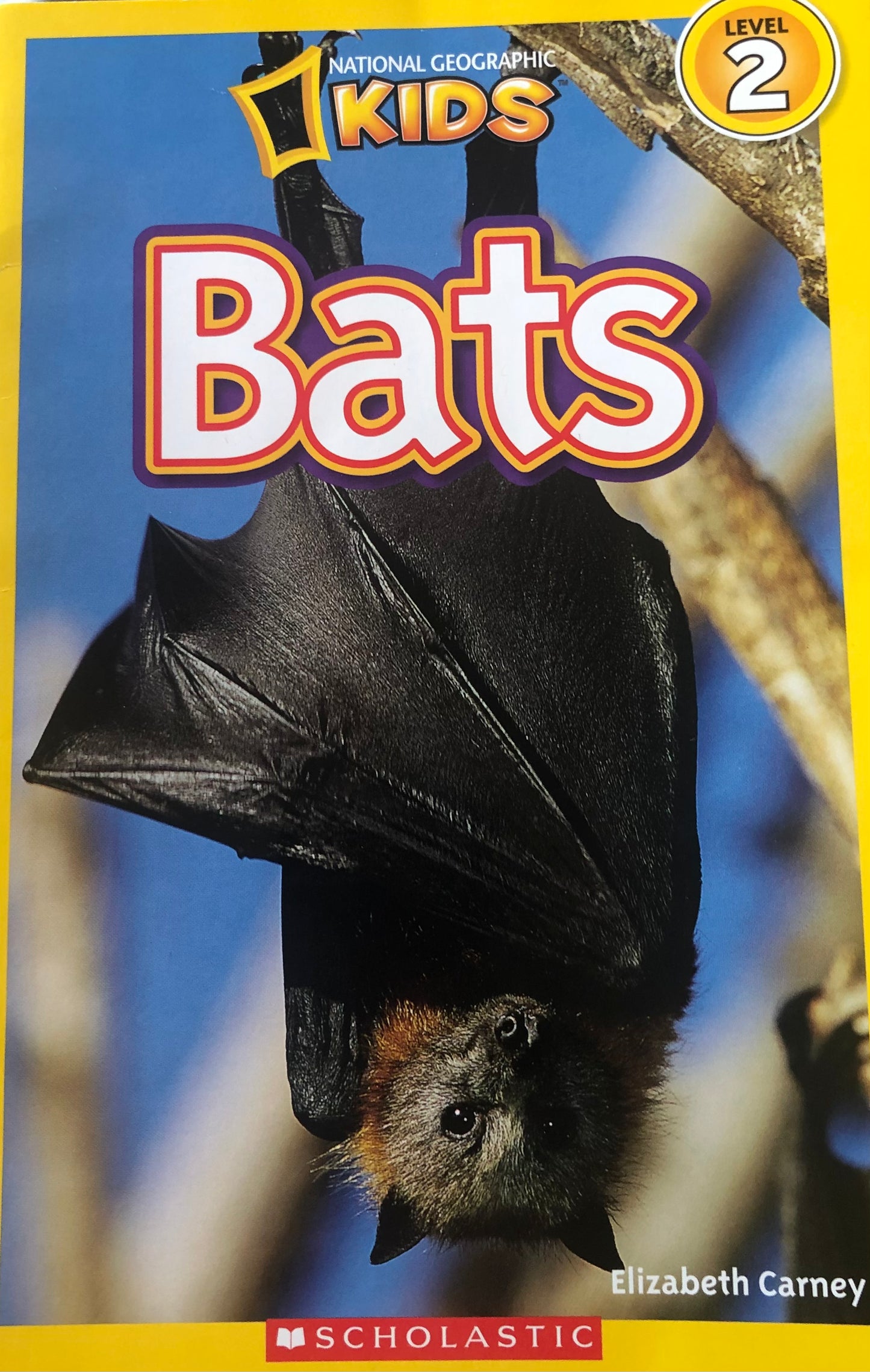 National Geographic Kids: Bats (level 2)