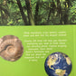 Miles Kelly 100 Facts Planet Earth
