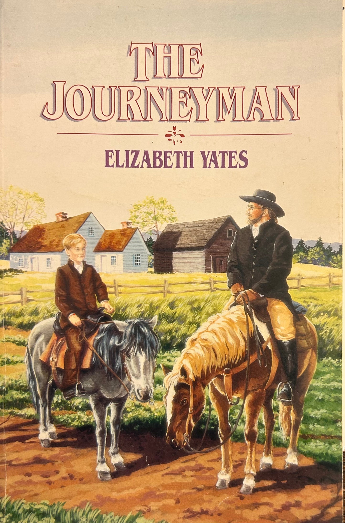 The journeyman Book by Elizabeth Yates