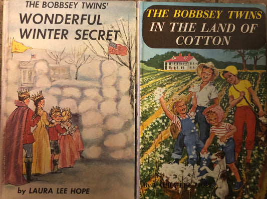 Bobbsey Twins (2 books)